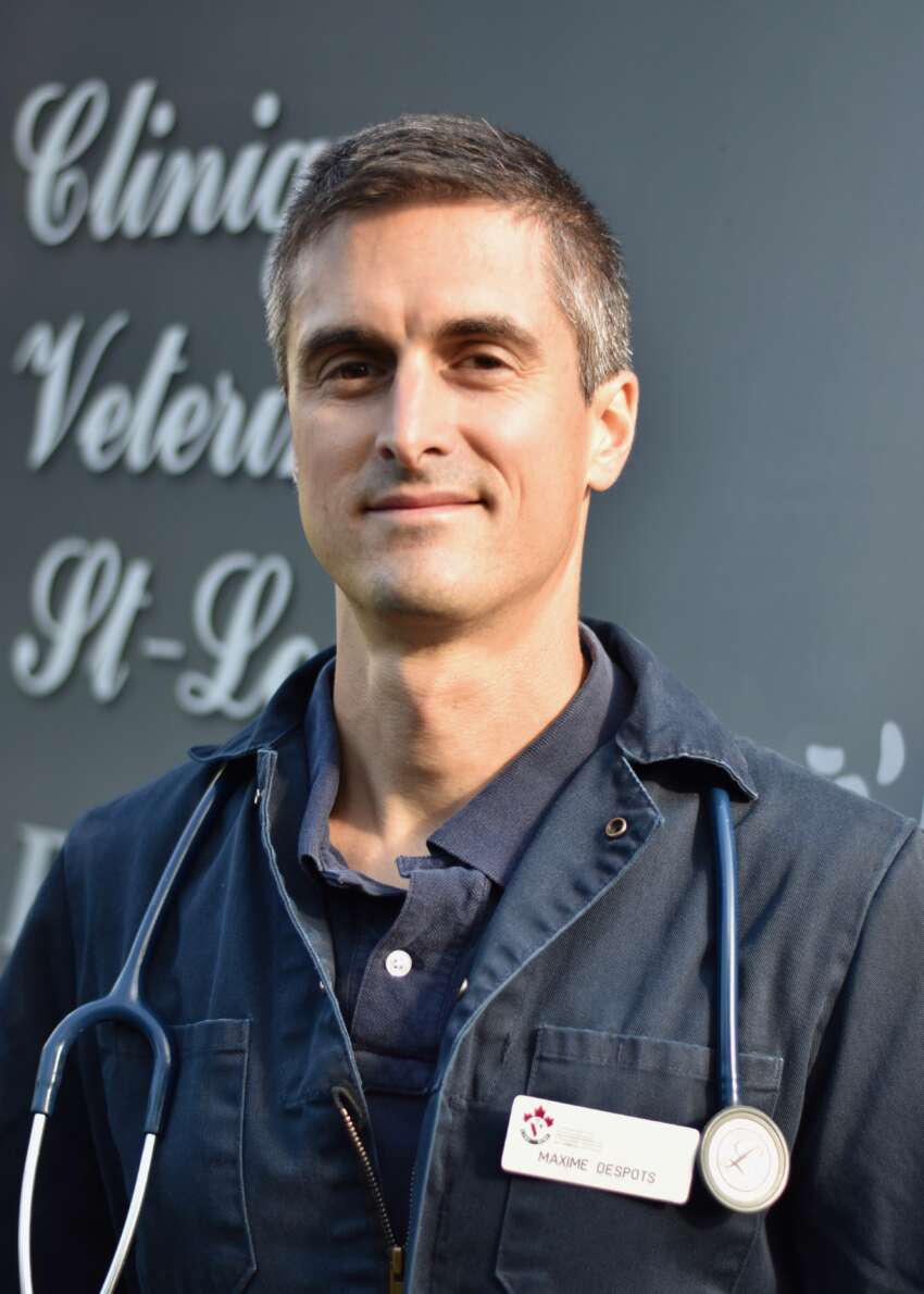 Dr Maxime Despots